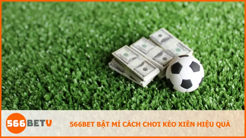 Mẹo chọn trận và chiến lược cược xiên an toàn cho người mới, giúp bạn tối ưu lợi nhuận