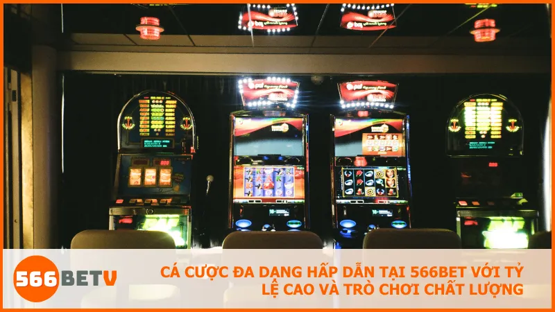 Cá cược đa dạng hấp dẫn tại 566BET với tỷ lệ cao và trò chơi chất lượng