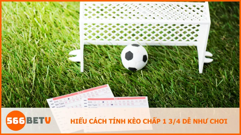 Cung cấp chi tiết cách chia thưởng và các tình huống cụ thể để người chơi tính toán cược hiệu quả.