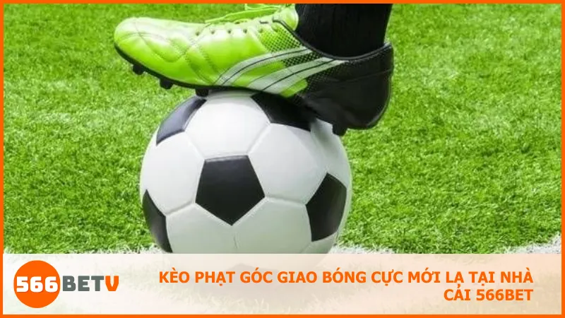 Kèo phụ như phạt góc, giao bóng tại 566BET là cơ hội kiếm tiền nhanh, không chờ trận kết thúc.