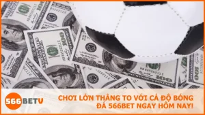 Cá độ bóng đá 566bet