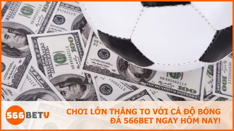 Cá độ bóng đá 566bet dành cho người mới: Dễ chơi, dễ thắng, dễ rút