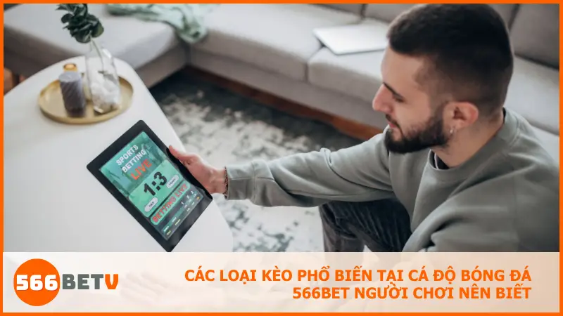 Khám phá những loại kèo dễ chơi, phổ biến và phù hợp cho người mới tại 566bet.