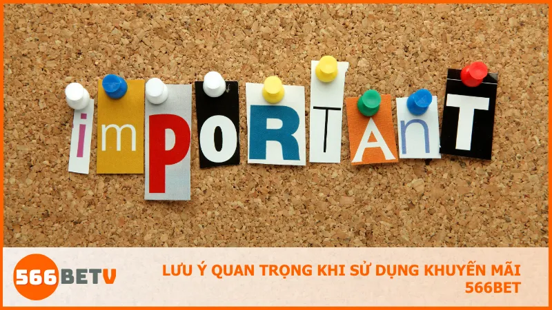 Đọc kỹ điều kiện và thời gian áp dụng khuyến mãi là cách đơn giản để tránh mất quyền lợi một cách đáng tiếc