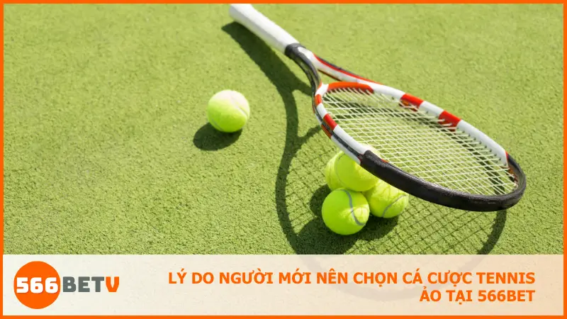 Lý do người mới nên chọn cá cược tennis ảo tại 566bet