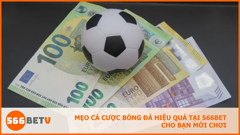 Gợi ý những mẹo cá độ đơn giản nhưng hiệu quả, giúp bạn tự tin hơn ngay từ lần cược đầu.