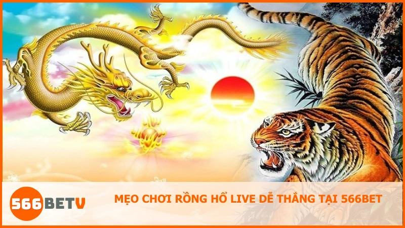 Nắm vững các mẹo để chơi Rồng Hổ Live dễ thắng tại 566BET
