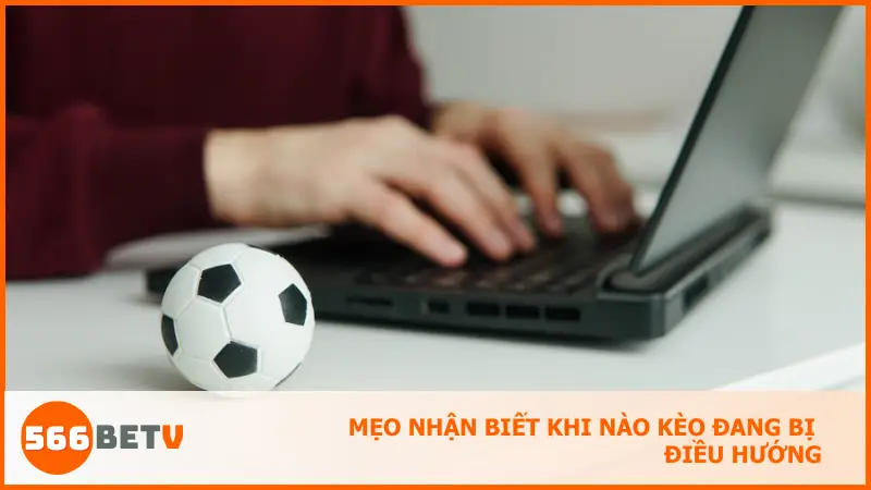 Quan sát biến động tỷ lệ và chênh lệch giữa thị trường giúp bạn tránh bẫy