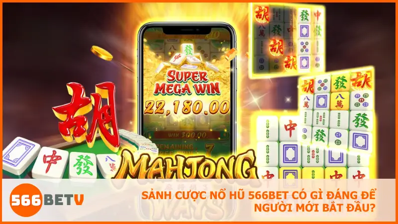 Giao diện chia cấp độ, hướng dẫn rõ ràng giúp người mới bắt đầu dễ dàng quay trúng ngay từ lần đầu.