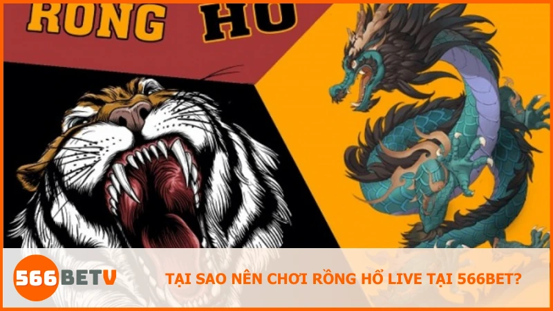 Rồng Hổ Live tại 566BET được tối ưu với tỷ lệ ăn cao, giúp người chơi dễ tiếp cận và dễ thắng